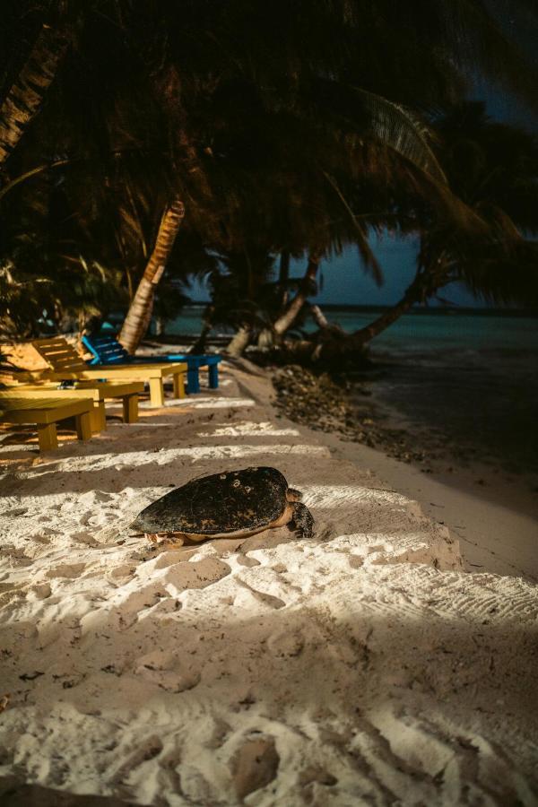 Ranguana Caye Cabanas Placencia Экстерьер фото